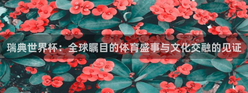 世界杯欧洲预选赛：瑞典世界杯：全球瞩目的体育盛事与文化交融的见证