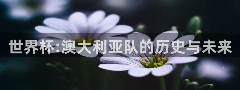 亚洲区世界杯预选赛