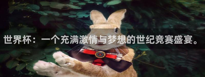 中国 世界杯:世界杯:一个充满激情与梦想的世纪竞赛盛宴。