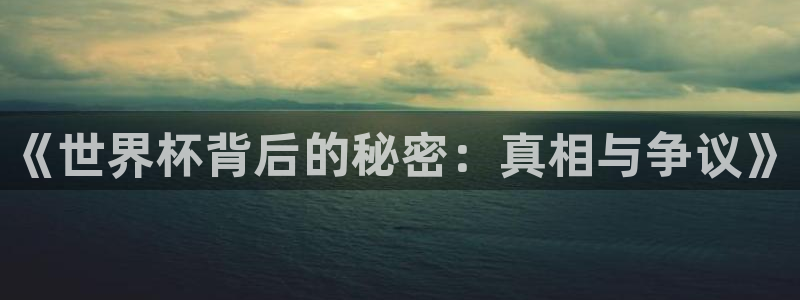 世界杯预选赛：《世界杯背后的秘密：真相与争议》