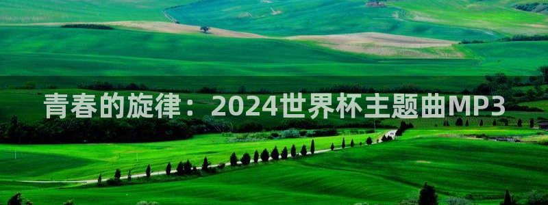 英格兰联赛杯直播：青春的旋律：2024世界杯主题曲MP3