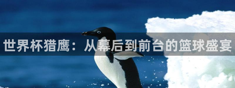 世预赛免费直播入口：世界杯猎鹰：从幕后到前台的篮球盛宴