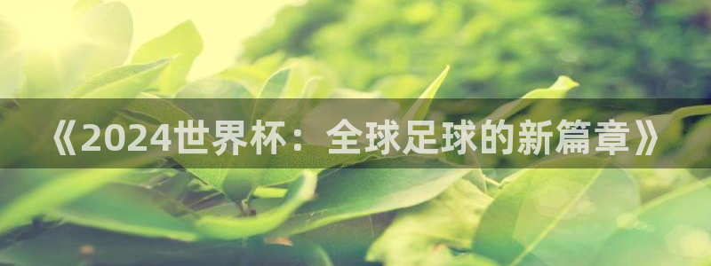 葡萄牙世界杯赛程：《2024世界杯：全球足球的新篇章》