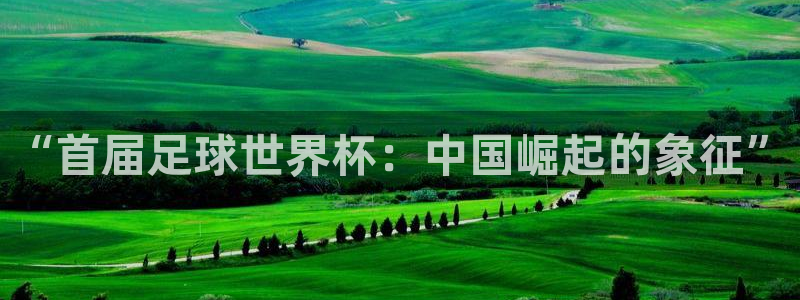 世界杯女足直播：“首届足球世界杯：中国崛起的象征”