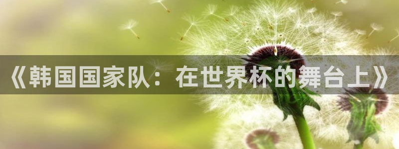 世界杯足球直播：《韩国国家队：在世界杯的舞台上》