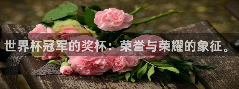 足球世预赛：世界杯冠军的奖杯：荣誉与荣耀的象征。