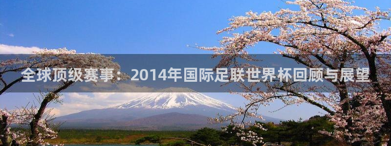 世界杯球队：全球顶级赛事：2014年国际足联世界杯回顾与展望