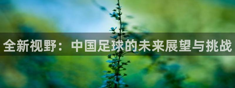 2026年足球世界杯赛程时间表：全新视野：中国足球的未来展望与挑战