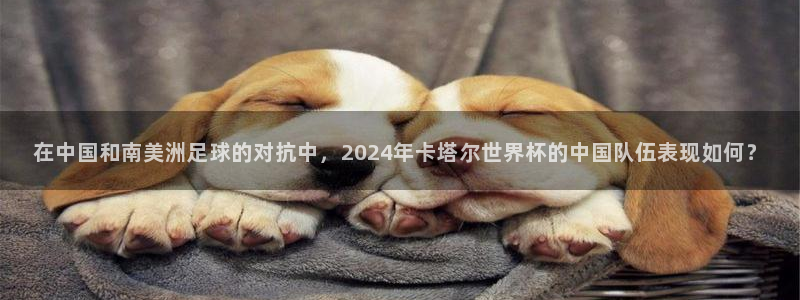 世界杯对阵表：在中国和南美洲足球的对抗中，2024年卡塔尔世界杯的中国队伍表现如何？