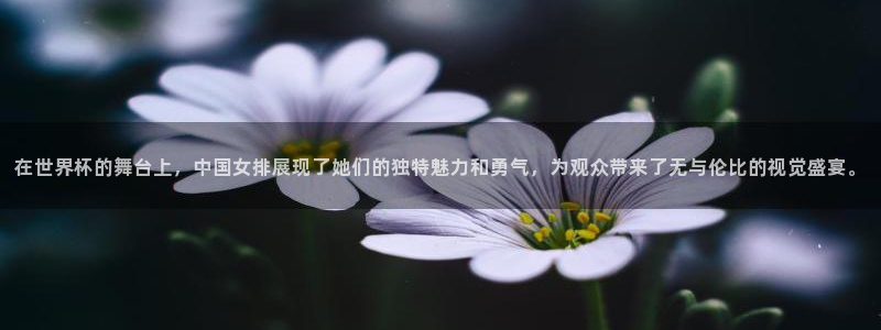 2026年男足世界杯：在世界杯的舞台上，中国女排展现了她们的独特魅力和勇气，为观众带来了无与伦比的视觉盛宴。