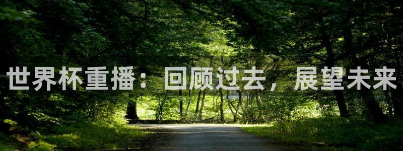 世界杯足球2026：世界杯重播：回顾过去，展望未来