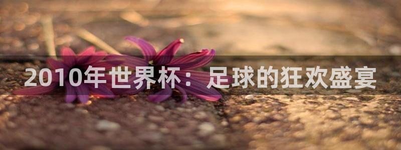 世界杯预选赛赛程：2010年世界杯：足球的狂欢盛宴