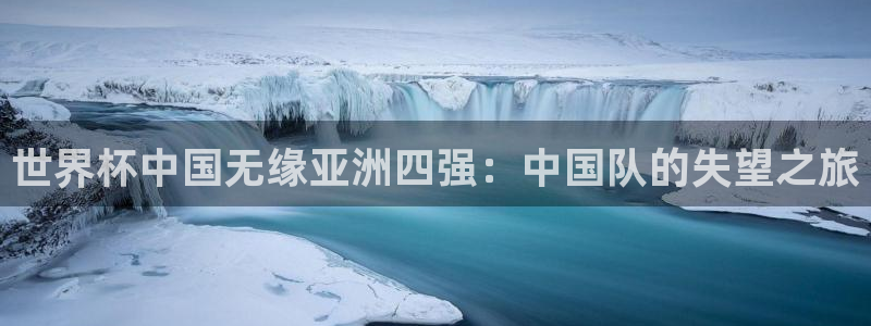 世界杯对阵图2026：世界杯中国无缘亚洲四强：中国队的失望之旅